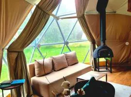 Žvaigždžių slėnis - Kupolai