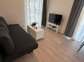 Lisas apartment, private new 1 bedroom and 1 living room with sofa bed and big windows, share with nobody，奧斯陸的住宿