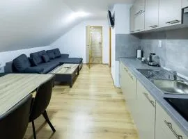 One-bedroom apartment with terrace