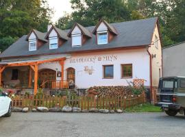 Penzion Bradlecký mlýn, hotel v destinaci Bradlecká Lhota