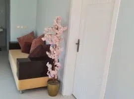 شقة بحوش خاص 2