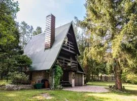 Chatka Sikorówka-SAUNA JACUZZI-Bizoręda