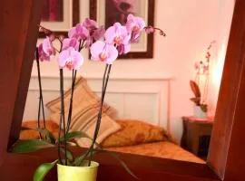 Chez Madame Cailleau