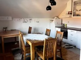 Apartman za odmor BELA