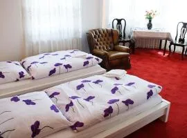 Pension De Lux Königsbrunn