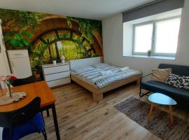 Útulná garsonka, hotel v destinaci Týn nad Vltavou