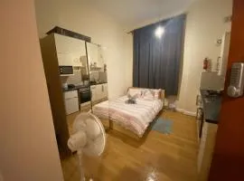Beautiful apartment close to central London