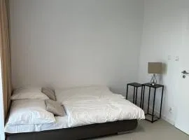 Modern House