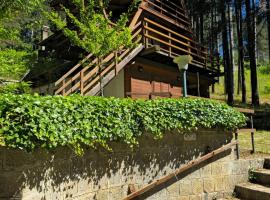 Chalet Natura la tana del ghiro，Cavaliere的木屋