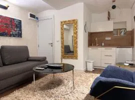 City Garden Studio Apartment in Belgrade