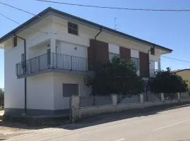 Domus Alba