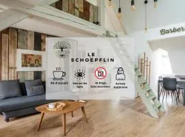 Le Schoepflin - Coeur de Strasbourg - Vue toits