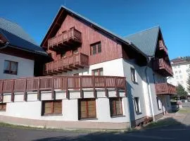 Apartment Horní Rokytnice-2 by Interhome