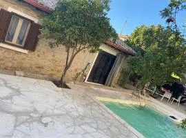 Bouganville