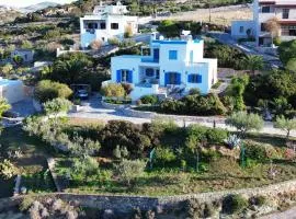 Villa Mimosa Aegean view apartment