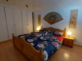 Ferienwohnung nähe Zentrum