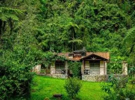 Hotel Termales San Vicente