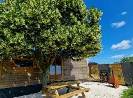 Tiny House Petite Balnéo Cheminée exterieure、Lisle-sur-Tarnのタイニーハウス