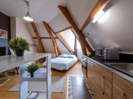 Saint -Louis 3 -centre ville-studette, hotel v destinaci Gien