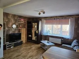 Comfy apartment in the center of the city