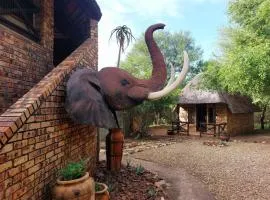 Elephant Memories