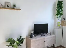 Le Cocon Vert joli petit T2 - Proximité Puy duFou