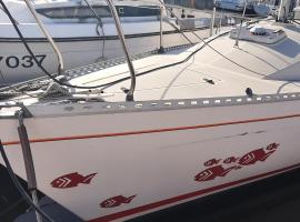 Le chant des mouettes - Voilier, boat in Boulogne-sur-Mer