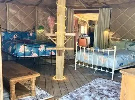 Vigo Retreat Boat yurt