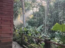 Umah mimpi