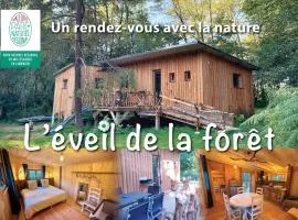 Gîte nature L'éveil de la forêt