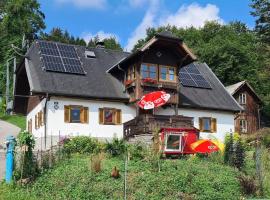 Ferienhaus Beringer am Kallbach, hotel v destinaci Traunkirchen