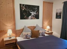 Apartment Wandegg im Bergsteigerdorf Ginzling Mayrhofen