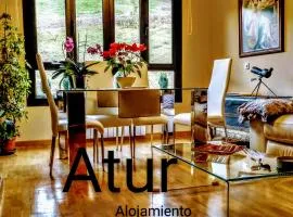 Atur
