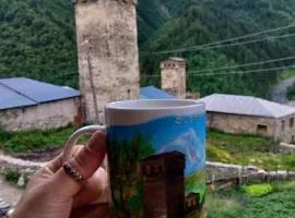 guest house "BETQIL" adishi