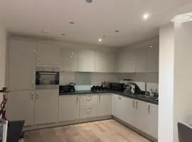 Luxury spacious one bedroom apartment