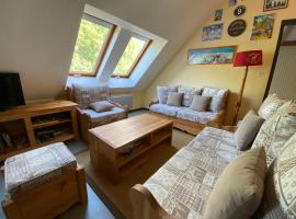 Grand duplex avec 3 chambres à deux pas de Saint-Lary, hotel v destinaci Vielle-Aure