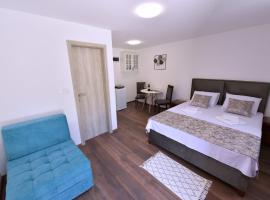 Airport Apartments TRI HRASTA, Hotel in Podgorica