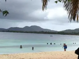 Apartamentos en VIQUES Puerto Rico