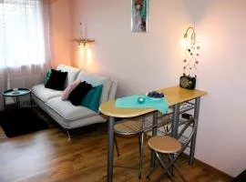 Simple Small Studio