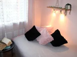 Simple Small Studio