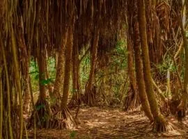 Vikindu forest campsite