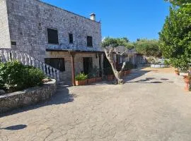 Casa DARIO