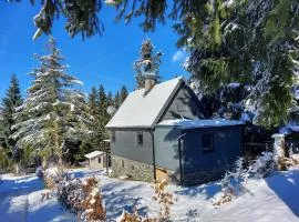 Chata 100 Český Jiřetín