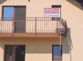 Cazare Antonia, chal&eacute; em Curtea de Argeş