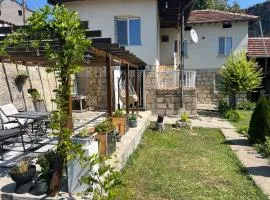Вила Нелче