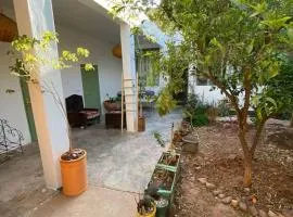 Ali's House