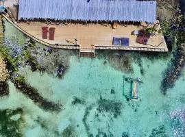 Medusa Hostel Isla Tintipan