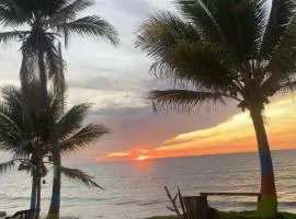 Hotel EL PALMAR TOURS