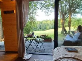 Tiny house - Schoulenka pod mirabelkami