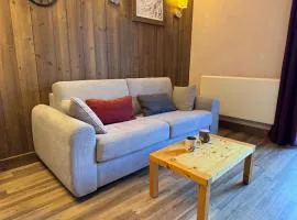 Superbe appartement ski aux pieds